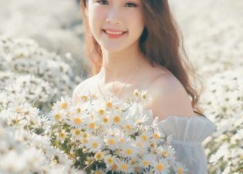 Ngắm thiếu nữ xinh đẹp bên vườn cúc họa mi