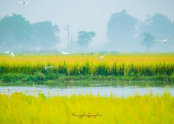 Có một Huế bình yên như thế trong nắng mai…