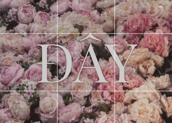 ‘Đây’: Từ khoá hot nhất ngày do Sơn Tùng khởi xướng bỗng trở thành trò tiêu khiển cười ra nước mắt của netizen